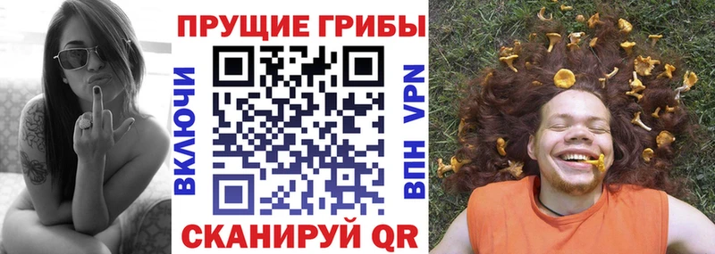 Псилоцибиновые грибы мухоморы Злынка